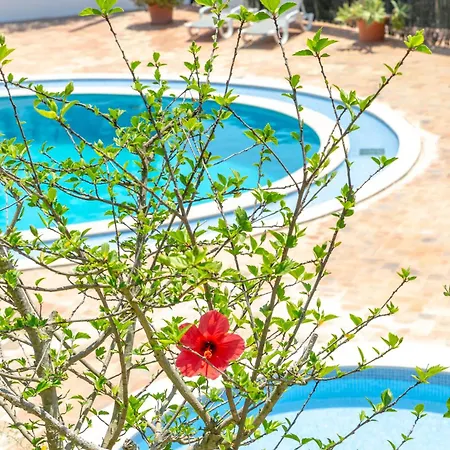 Oasis Pool & Views * Albufeira