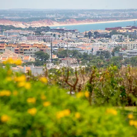 בית נופש Oasis Pool & Views
